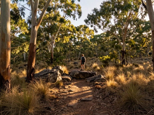 Which One Is an Outdoor Activity? The Ultimate Guide to Nature vs. Indoor Fun